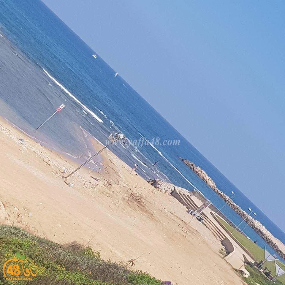 bldyaia shate2 yaffa (4).jpg